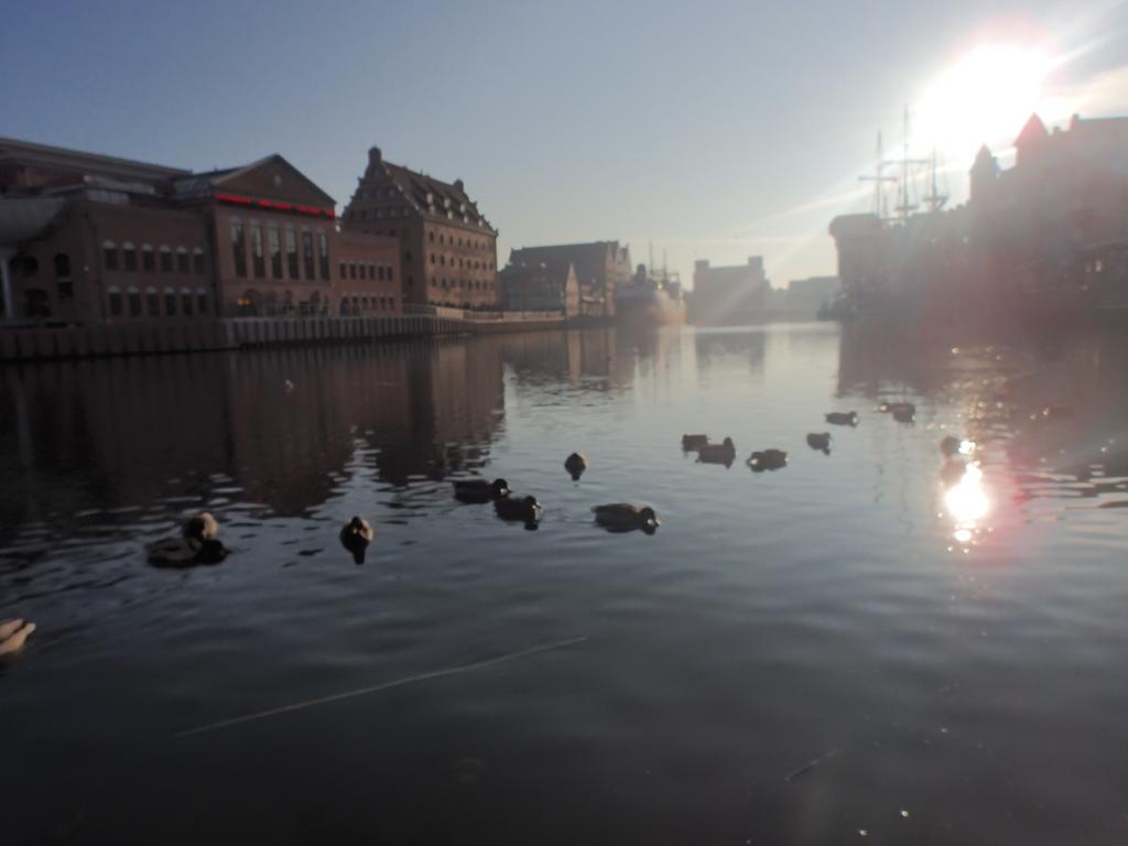 Apartament Nadmorski Gdansk سوبوت الغرفة الصورة